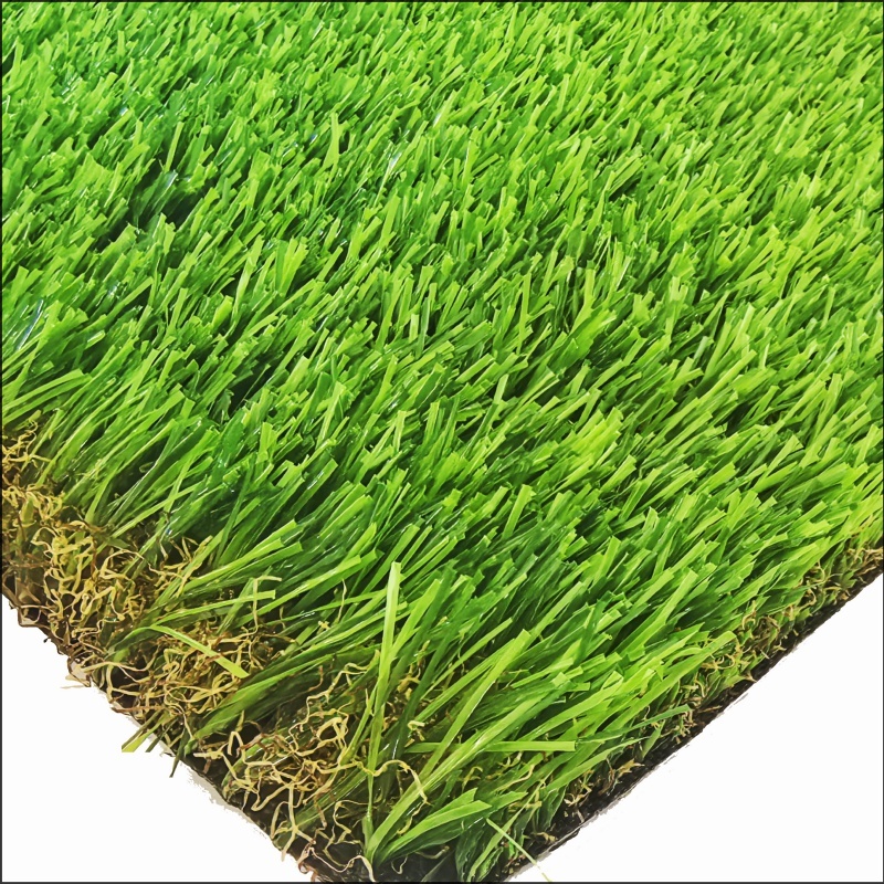 See More About गार्डन ग्रास (GG45)